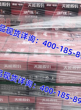 帅能电池动力王1代 88型 6-EVF-60电动三轮车 篷车专用铅酸免维护