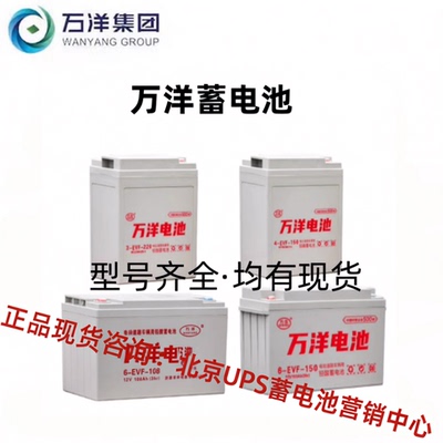 6EVF-100/110万洋电瓶电动车电池