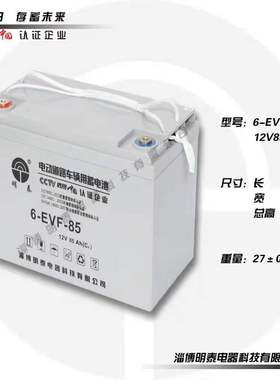 明泰电瓶3-EVF-200 220 4-EVF-150 6-EVF-100 110 120 150 蓄电池