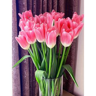 郁金香大种球水培套装四季耐寒花卉阳台办公室桌面开花秋冬室内养