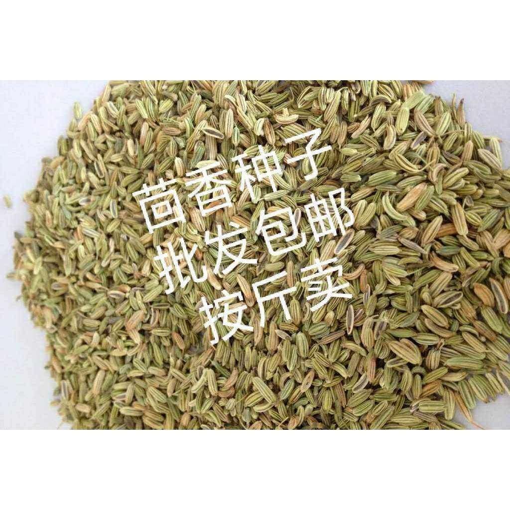 农家自留茴香种子茴香籽家庭园艺种子蔬菜种子四季种植香菜种子,鲜花速递/花卉仿真/绿植园艺,家庭园艺种子,淘宝优惠券,粉丝福利购,淘宝优惠卷