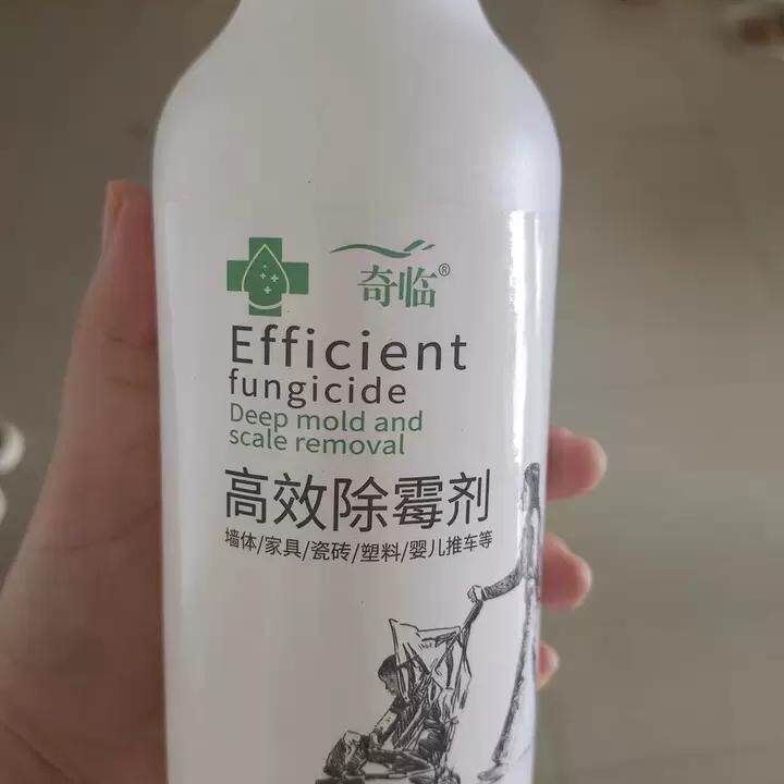 奇临浓缩除霉剂多用途除霉菌神器