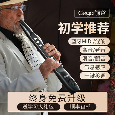 cega前谷电子吹管初学萨克斯