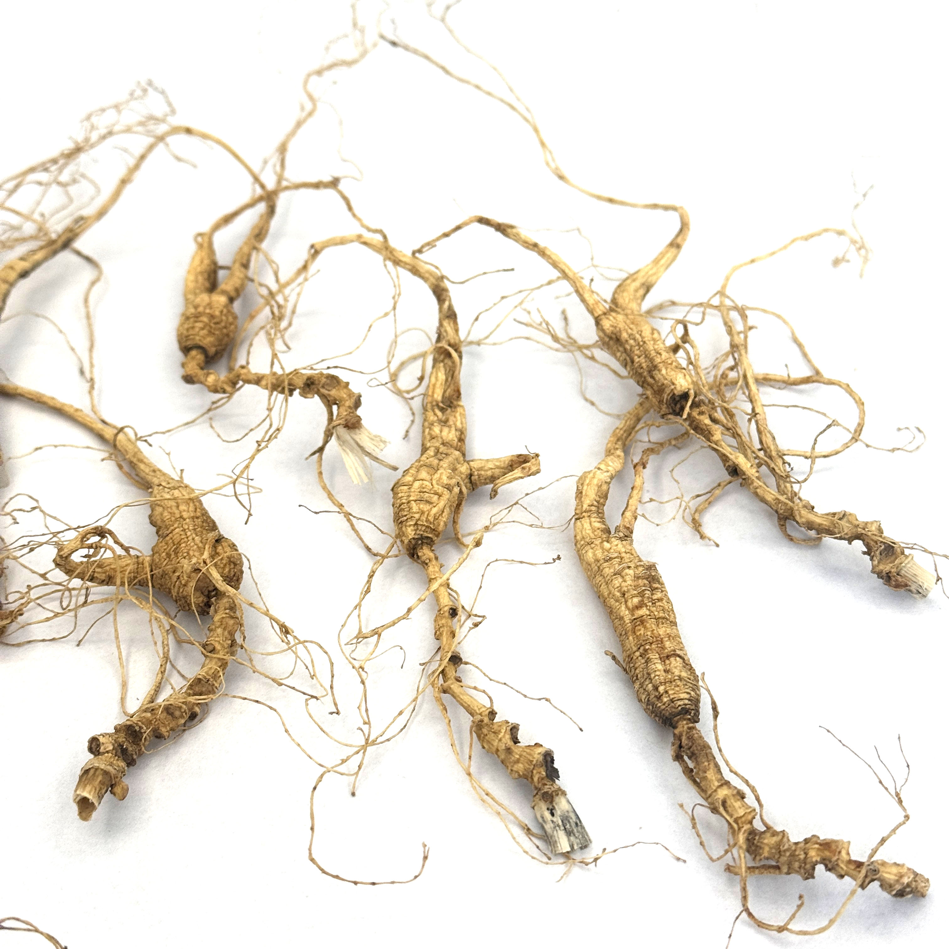 2025年新货20年林下参正宗林下野山参泡茶炖汤无染色参味浓10g