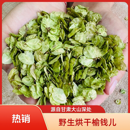 甘肃深山野生烘干榆钱儿