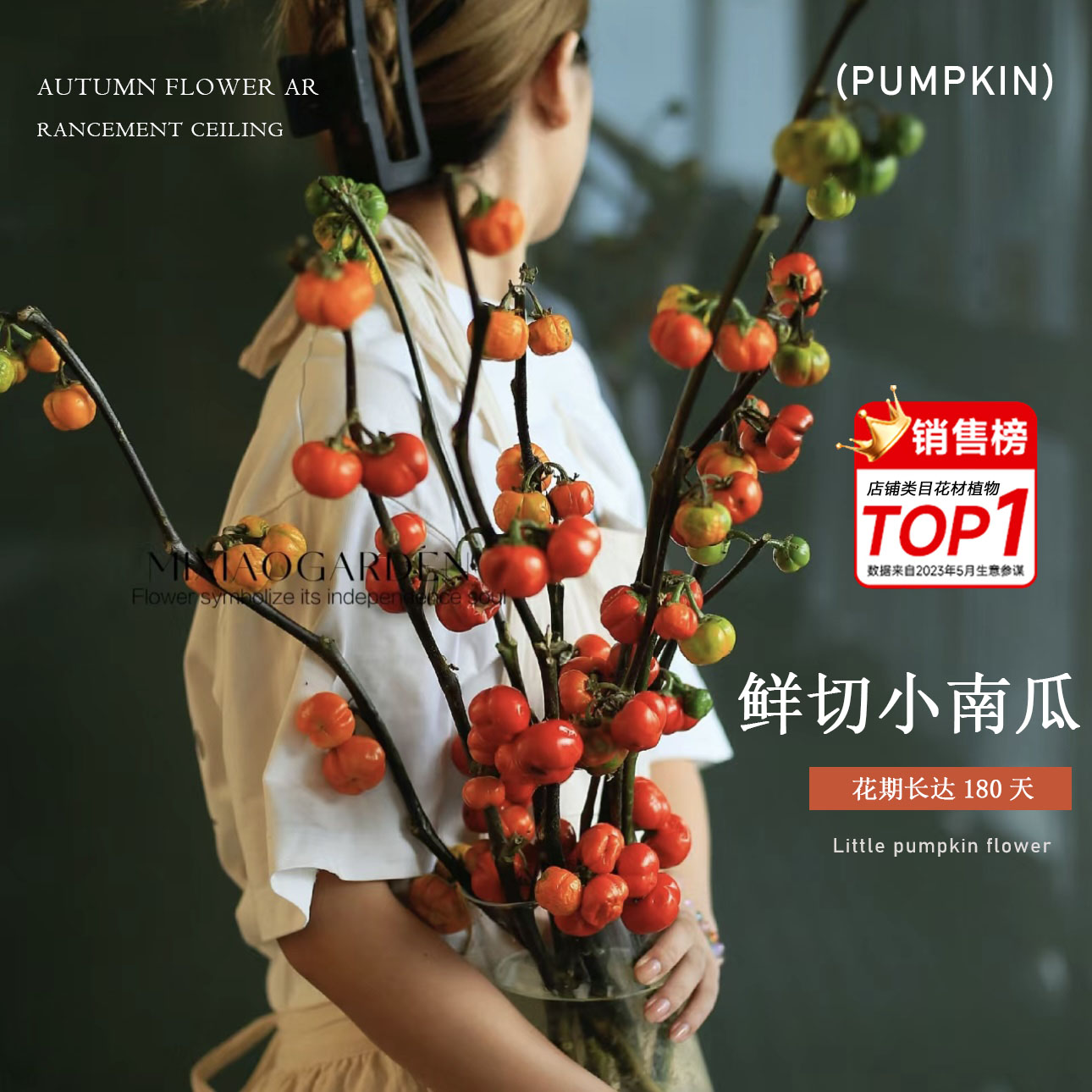 小南瓜鲜花观赏插花水培植物干花