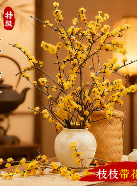 腊梅花鲜花水养切花干支腊梅水培植物室内客厅摆件梅花春节年宵花