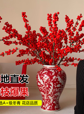进口北美冬青红果真花鲜切花红豆鲜花室内水养植物花卉圣诞年宵花