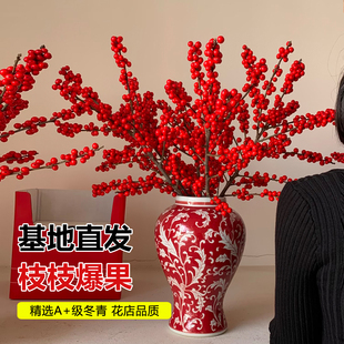 进口北美冬青红果真花鲜切花红豆鲜花室内水养植物花卉圣诞年宵花