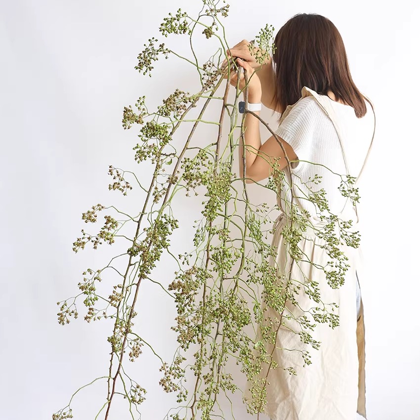 山归来鲜切水培植物室内好养干花客厅办公室四季好养活蔷薇果绿植