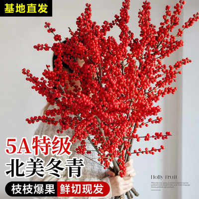 北美冬青红果真花鲜切花新年花束