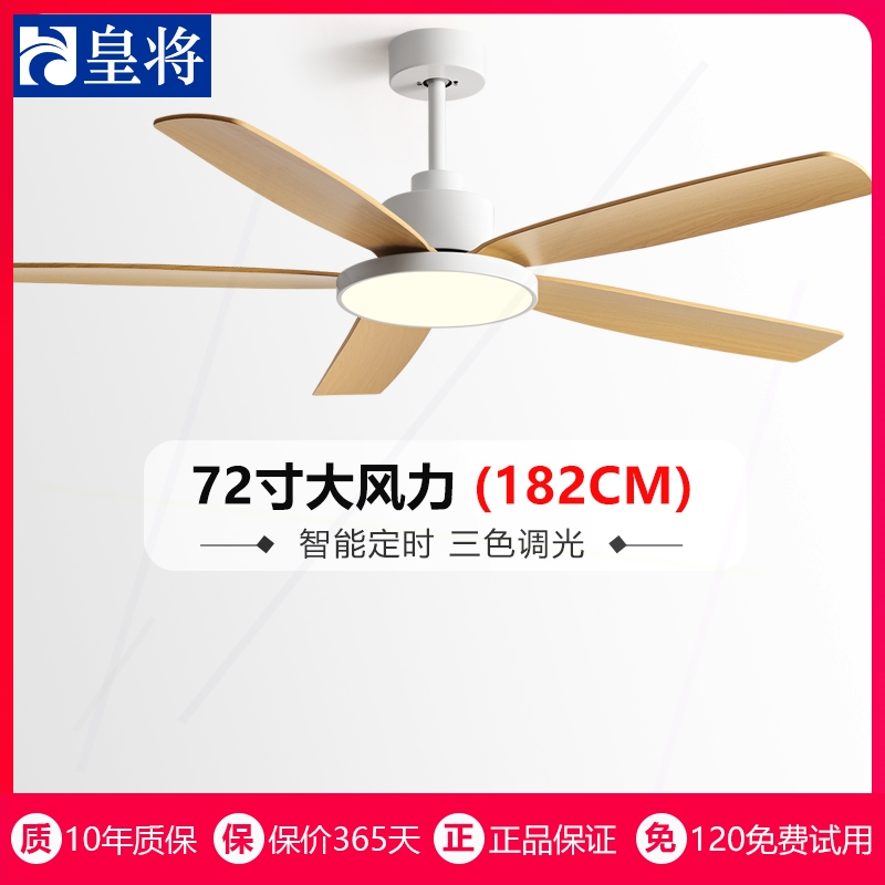 72寸吊扇灯客厅家用风扇灯2025年