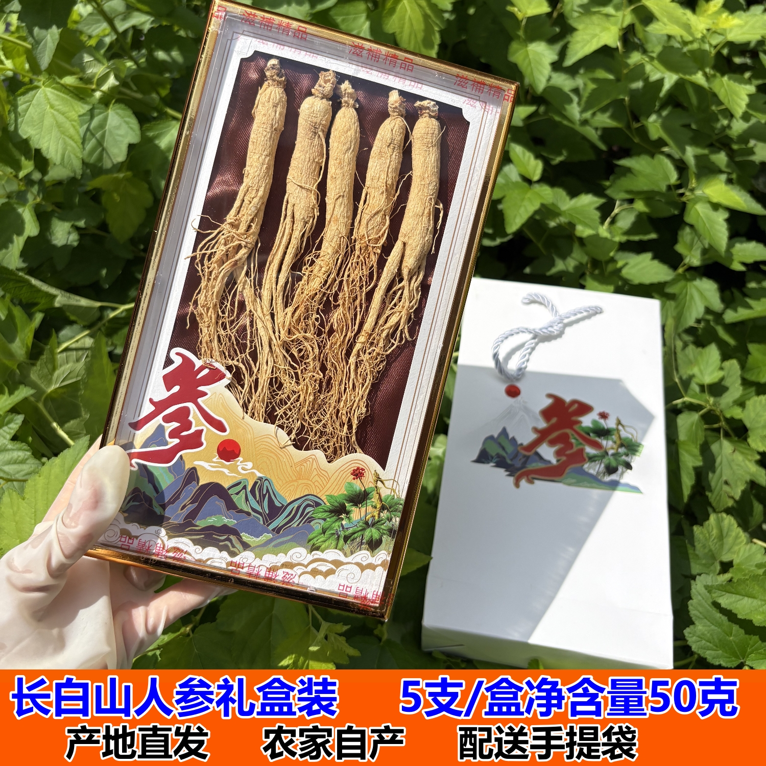 东北人参礼盒6年生晒参白参泡酒全须人参野生山参盒装50克配礼袋