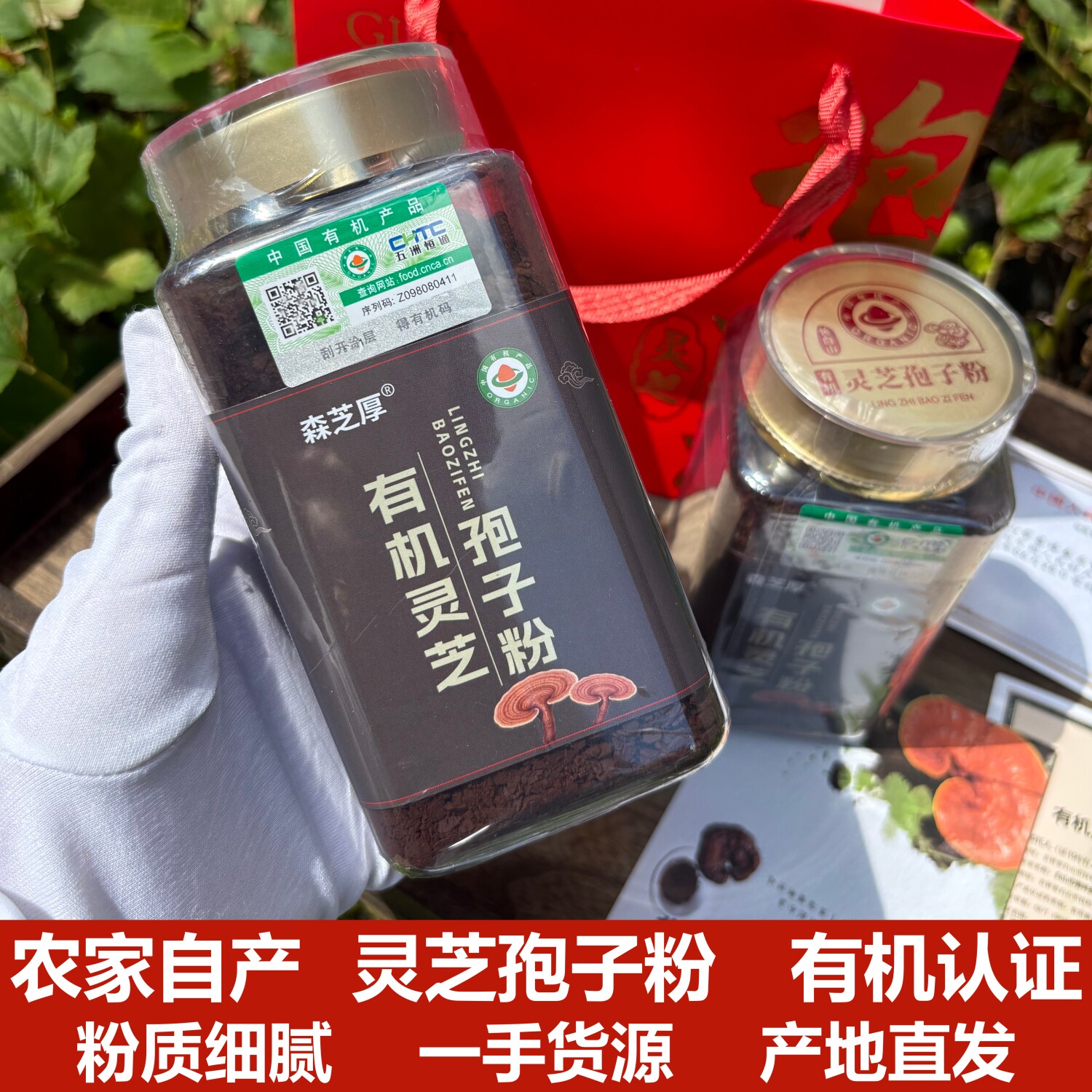 长白山正宗有机灵芝孢子粉500克东北特产头道椴木赤灵芝孢子油