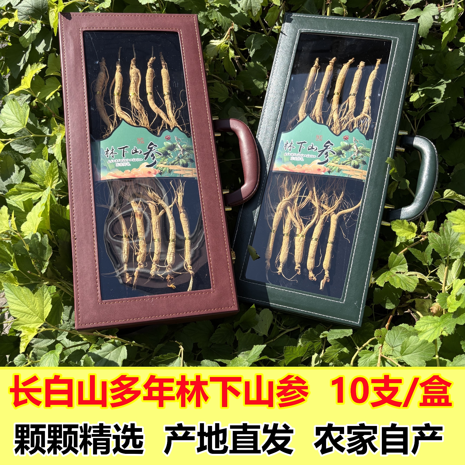 新品长白山林下参高档礼盒装野生老人参山参吉林移山参东北特产