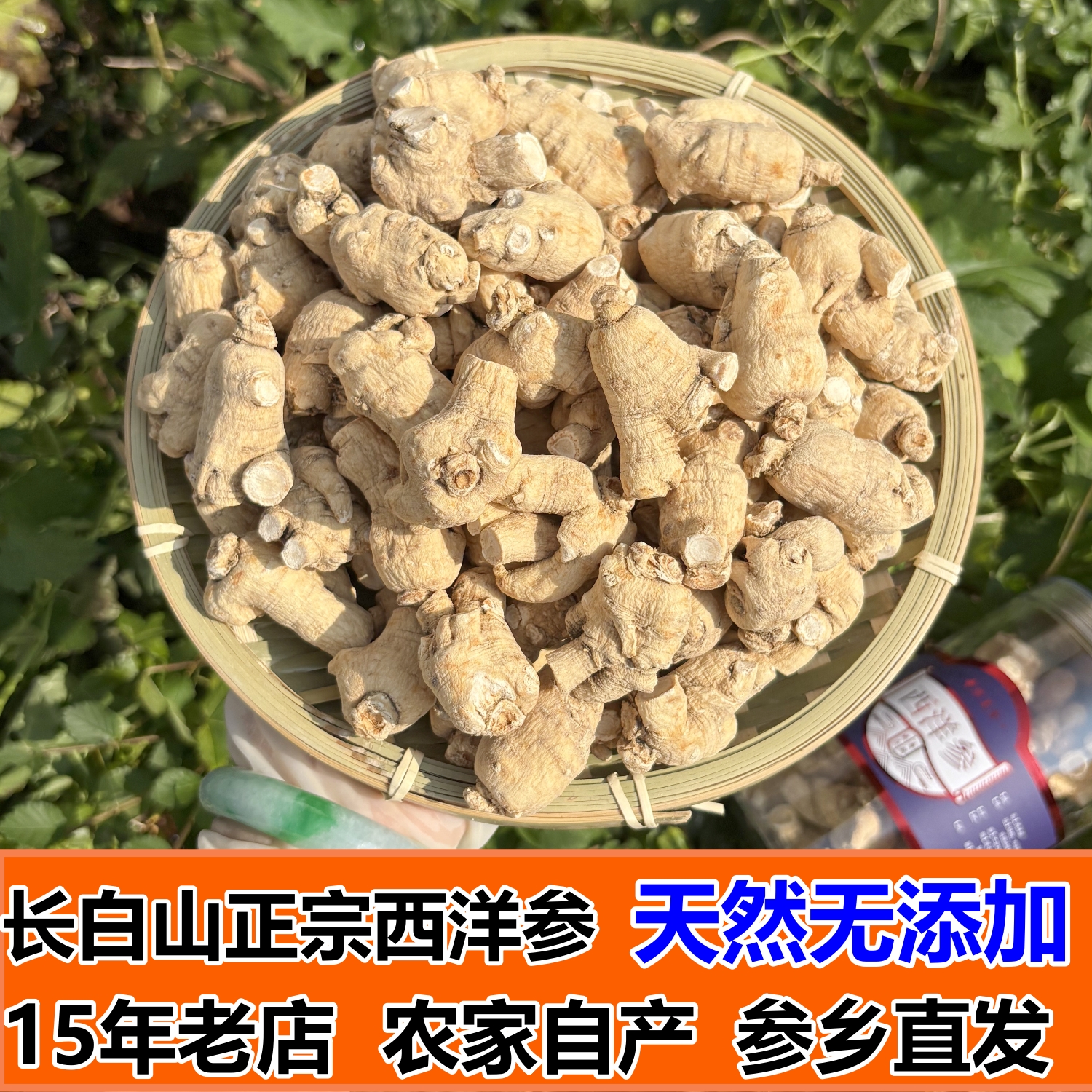 东北西洋参长白山西洋参粒头切片正宗短支花旗参段疙瘩参50克干货