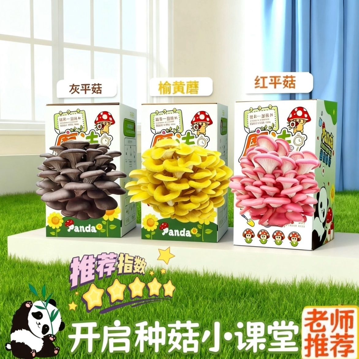蘑菇盒子蘑菇种植包蘑菇菌包礼盒手工创意粘贴类