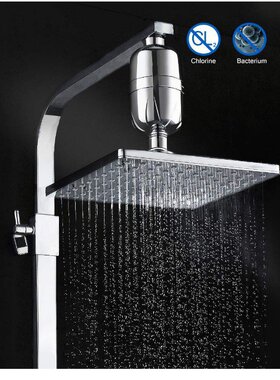 Bath filter, water purifier, chlorine removal water purifier