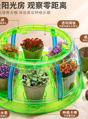 Children DIY Planting Sunroom Toys种植阳光房玩具