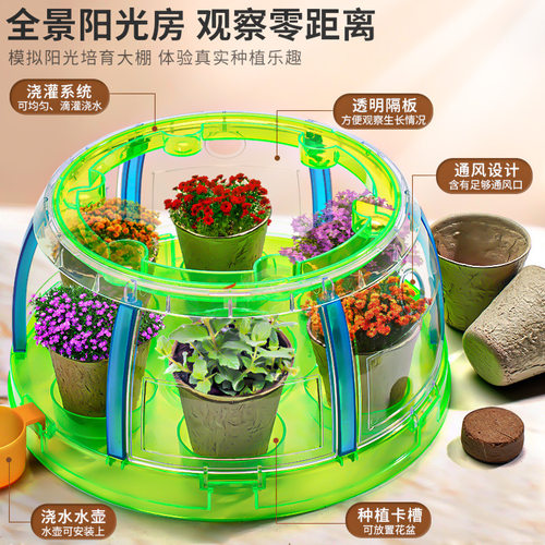 Children DIY Planting Sunroom Toys种植阳光房玩具