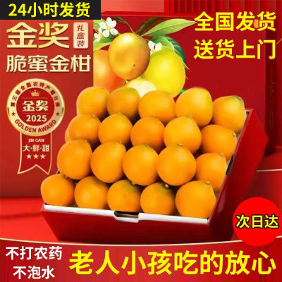 广西正宗柳州融安脆蜜金柑独立包礼盒装第三代金桔纯甜特大贡品级