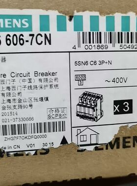 小型断路器5SN6606-7CN  带