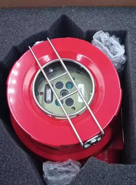 FS20X-211-21-2火焰探测器 未使用