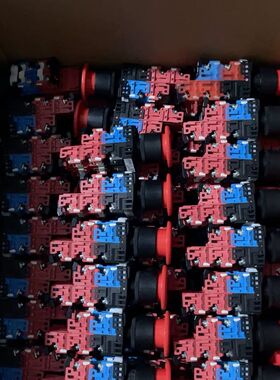 日本带灯急停按钮AR22V2L