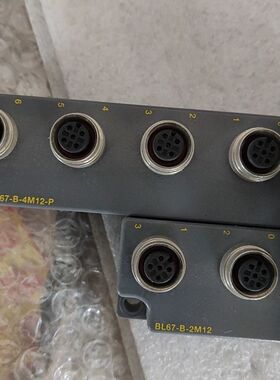 图尔克BL67  BL67-B-2M12  BL67-B-4