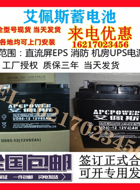 APCPOWER艾佩斯蓄电池UD100-12/12V100a7.2a17a24a38a40a65a120ah