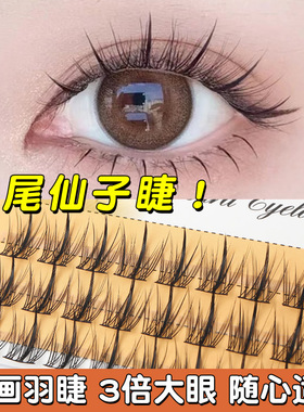 自然太阳花懒人三部曲鱼尾仙子分段漫画浓密嫁接单簇假睫毛大容量