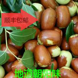顺丰全国包邮新鲜辽宁朝阳大枣孙家湾大枣甜酸枣鲜枣平顶枣子脆枣