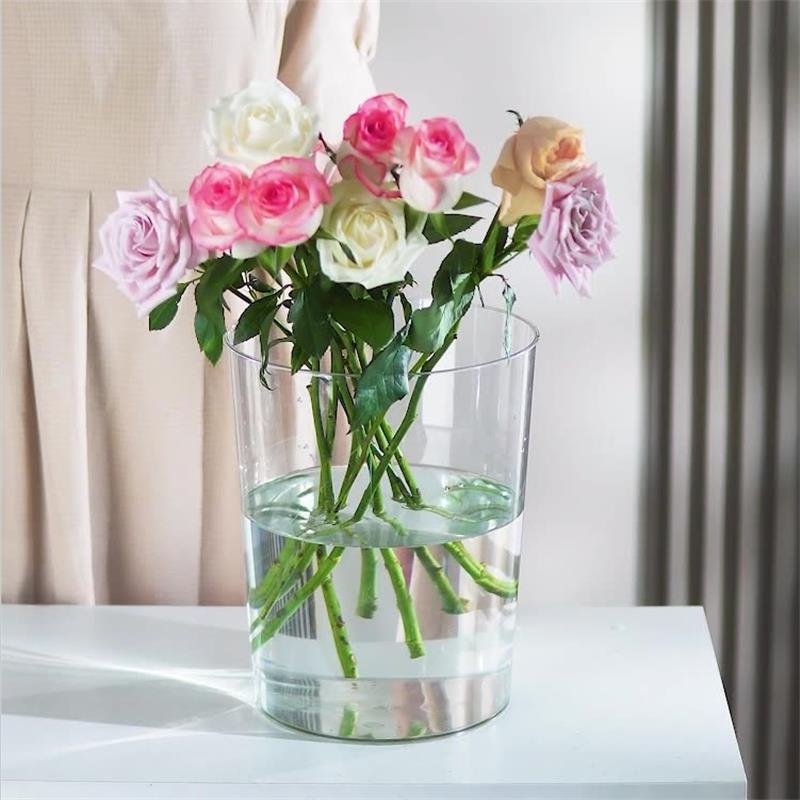 客厅插花迷你透明轻奢花瓶桌面高级感水养百合玫瑰水培鲜花专用瓶