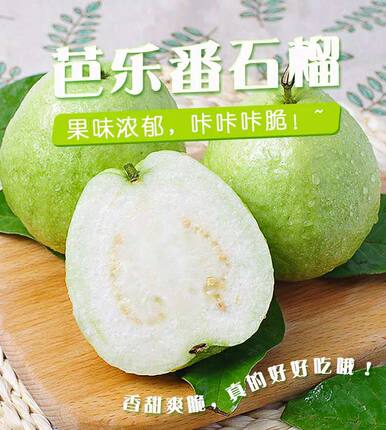 广东高山现摘白肉芭乐番石榴水果3斤芭乐新鲜番石榴水果清脆甜香