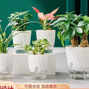 Plant automatic water absorbing flowerpot plastic pot