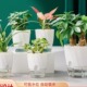 plastic Plant pot absorbing flowerpot automatic water