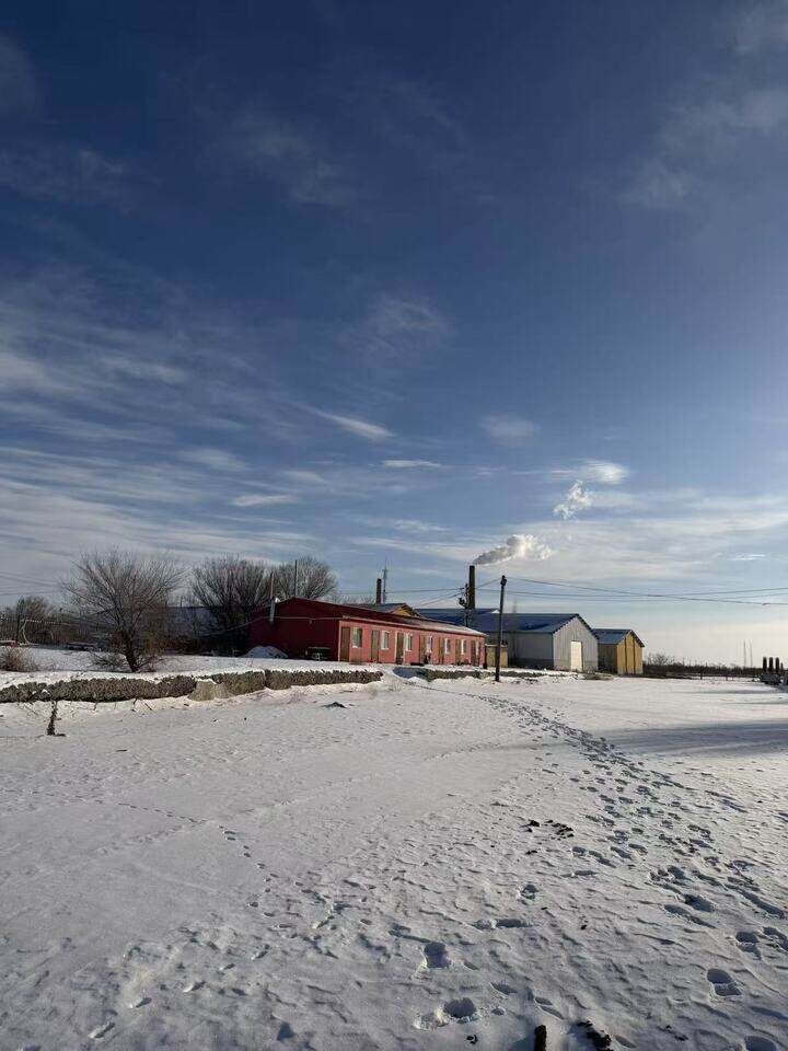 5月1日塔城地区地面附着物网络拍卖公告