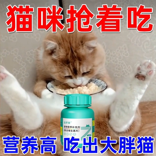 复合维生素片宠物专用B片多种营养口角炎补充剂 猫咪增肥长肉