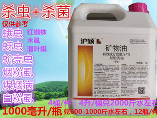 沪颖矿物油红蜘蛛溃疡杂虫蚧壳虫蚜虫煤烟病绿清园农药木虱杀虫剂