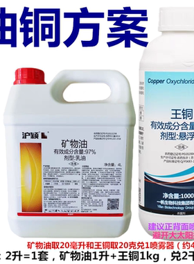 柑桔溃疡疮痂病白癞病锈壁虱