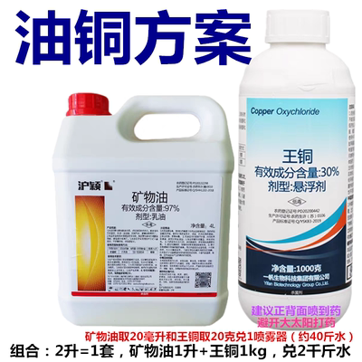 柑桔溃疡疮痂病白癞病锈壁虱