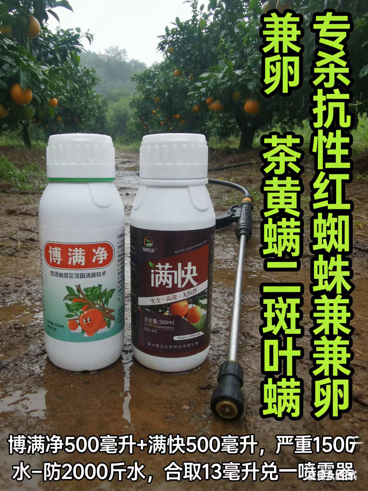 满快+博满净果树红蜘蛛杀螨剂