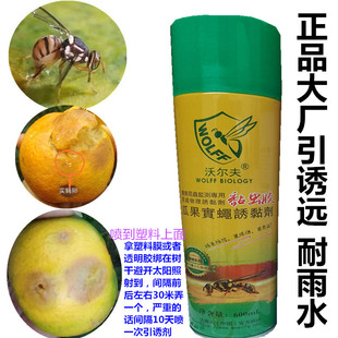 正品沃尔夫引诱剂果食蝇针蜂果蝇瓜实蝇诱捕器柑桔苦瓜果实蝇贴板