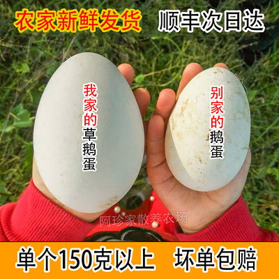 新鲜纯天然去胎毒超大顺丰鹅蛋