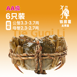 活蟹 家庭简装 铁拐狸系列6只装 母蟹2.5两 大闸蟹 公蟹3.5两