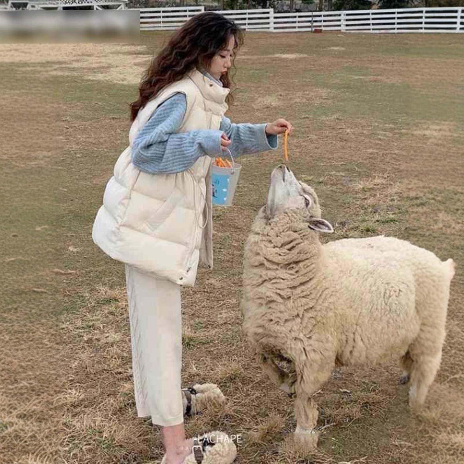 日系羽绒棉马甲女2025秋冬新款小个子时尚百搭收腰中长款棉服背心