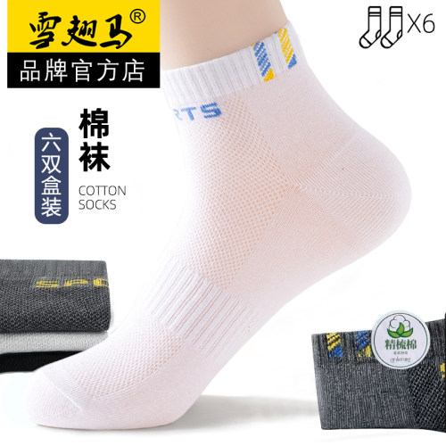 雪翅马袜子男士棉春秋薄款网眼袜