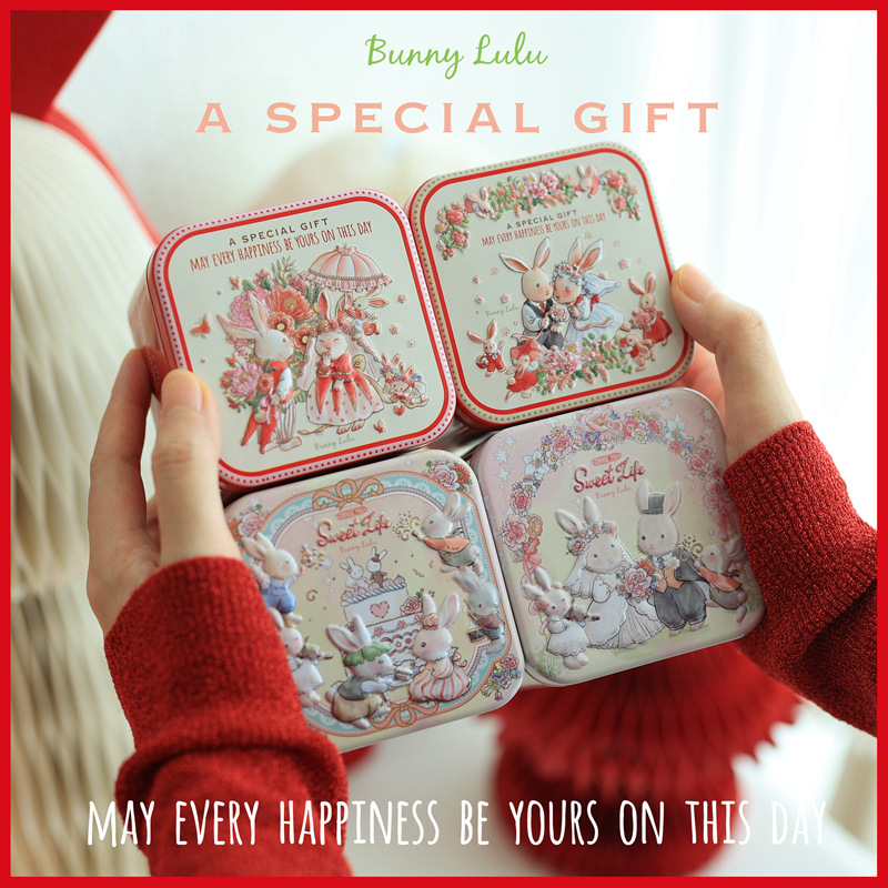 Bunny Lulu Rabbit Thee-dimensional Relief Squae Box Candy