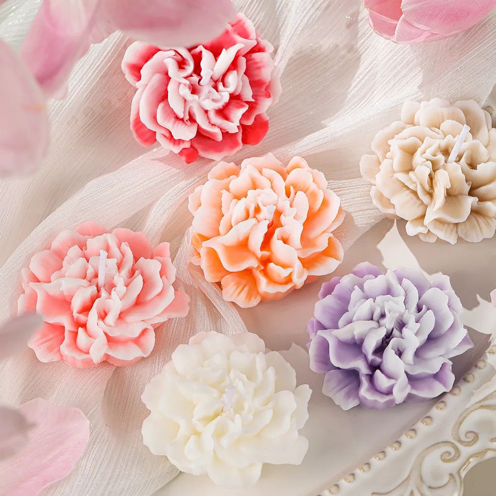 Mothe's Day gift canation flowe-shaped handmade soybean