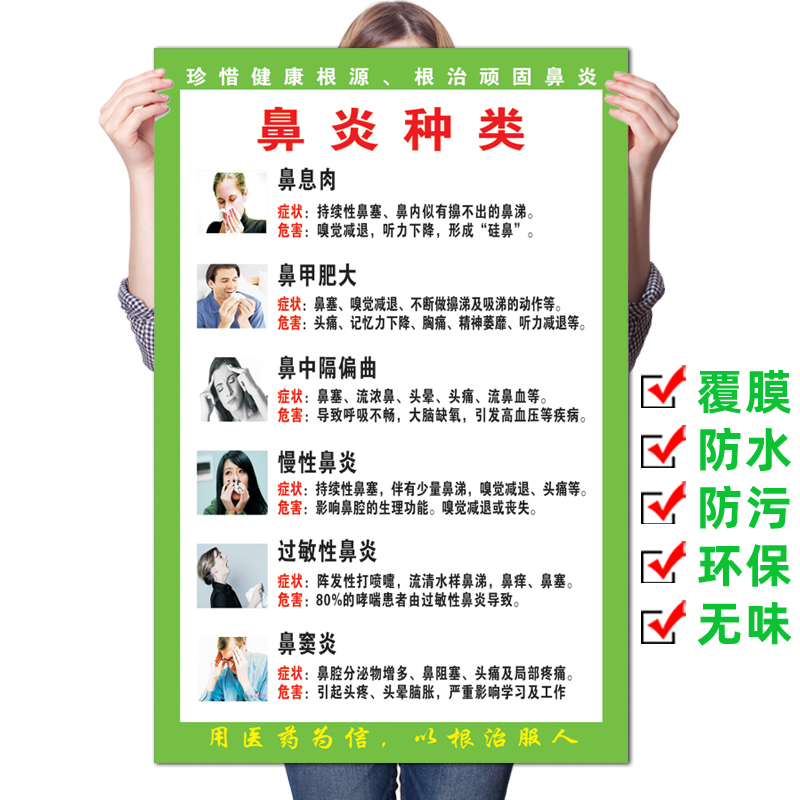 医院文化耳喉鼻科 鼻炎治疗症状疾病危害《鼻炎的分类》海报挂图